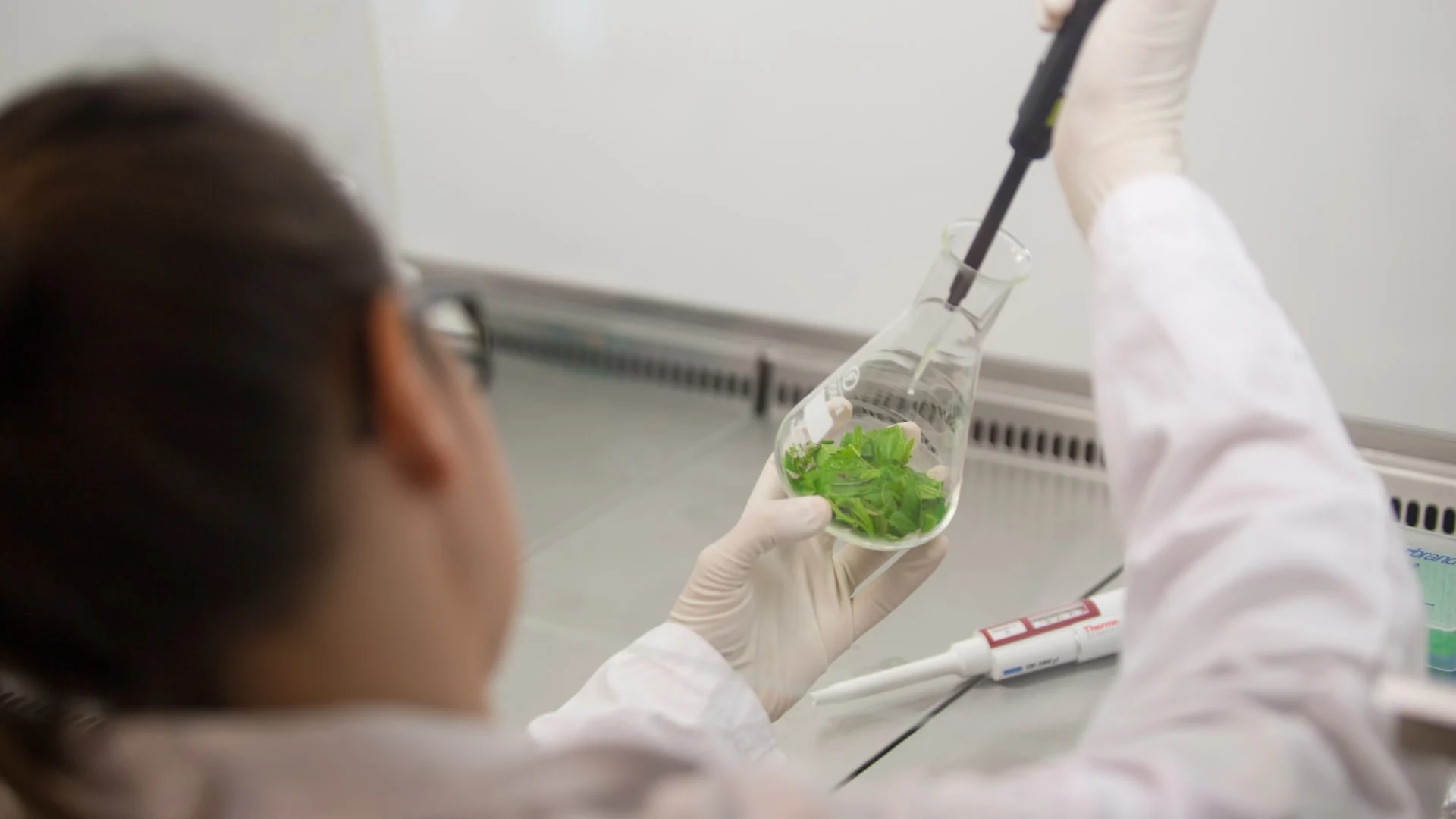 bachelor-course-in-biotechnology