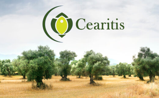 Cearitis, la start-up de Marion Canale (Sup’Biotech promo 2019) qui protège les oliviers